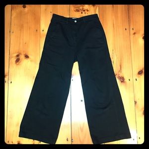 Everlane Wide Leg Crop Pants